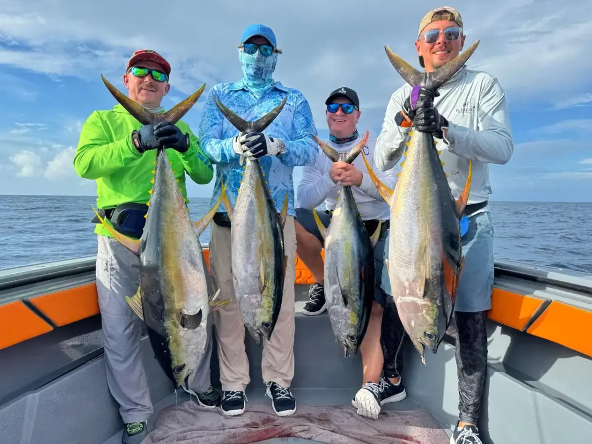 Тур Амирантес. Вариант 2