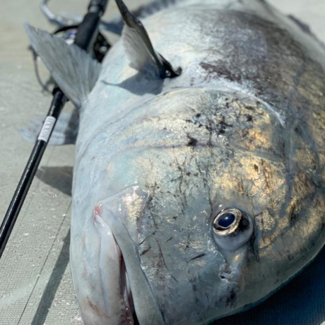 Без имени-13.jpg